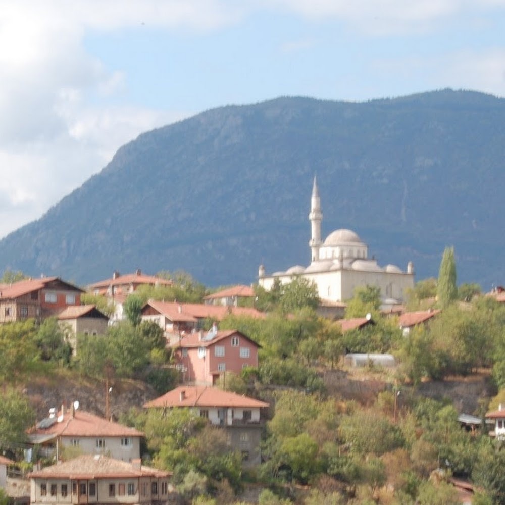 Meet your Posher, Ann marie